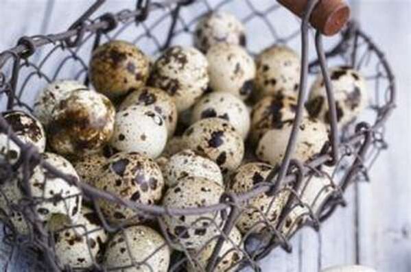 Ovos de codorniz
