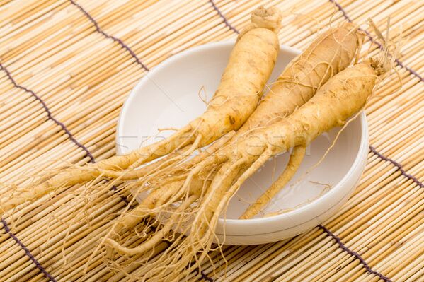 O mellor estimulante de potencia é a raíz de ginseng